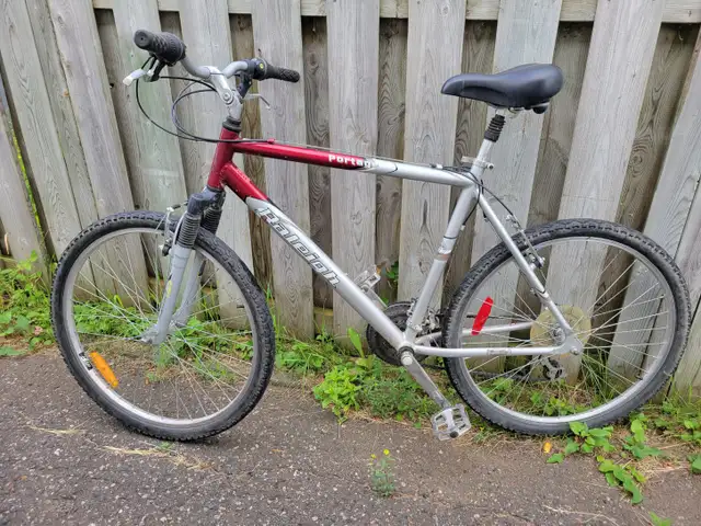 Raleigh Adult Mountain Bike for sale