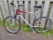 Raleigh Adult Mountain Bike for sale