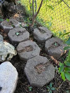 Patio Bricks - Photo 4