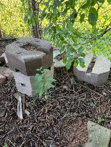 Patio Bricks - Photo 5