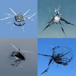 MOBILE ROCKCHIP AND CRACK WINDSHIELD REPAIR - Photo 2