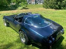 1978 Corvette Silver anniversary - Photo 2