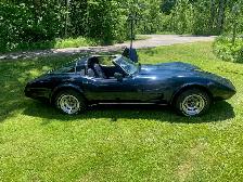1978 Corvette Silver anniversary - Photo 5