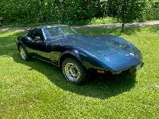 1978 Corvette Silver anniversary - Photo 6