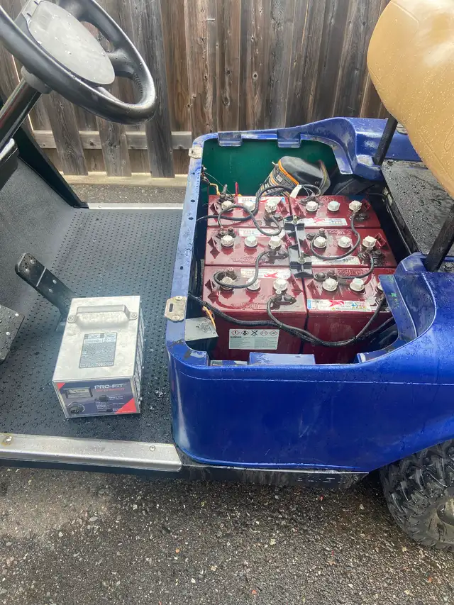 Golf cart batteries