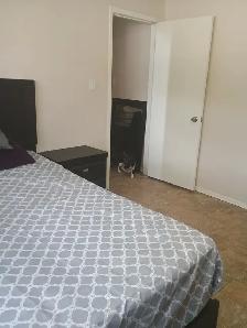 Room for rent - Photo 6