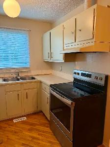 3 bedroom house for rent