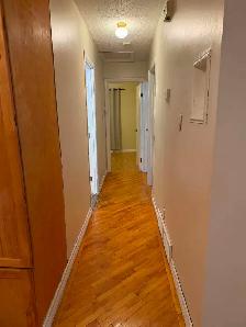 3 bedroom house for rent - Photo 7