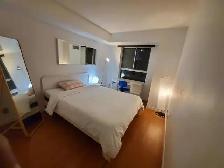 Furnished 1 Den ( window), $2400/month, all incl, Bay/Gerrard - Photo 5