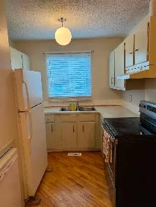 3 bedroom house for rent