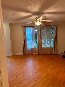 3 bedroom house for rent - Photo 5