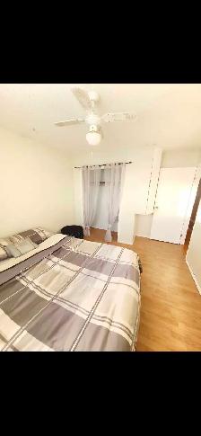 3 bedroom house for rent - Photo 9