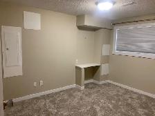 Large 2 Bedroom Ground level suite - Photo 5