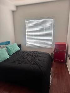 Premium Furnished Room – 2nd Floor Balcony & Ravine Lot! - Photo 9