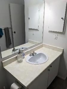 Student House for Rent. Live a 10 Min Walk from UTM! - Photo 7