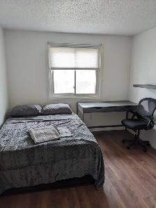 Student House for Rent. Live a 10 Min Walk from UTM! - Photo 8