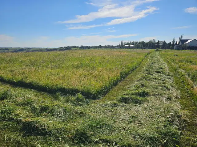 Small Square Grass/Hay bales