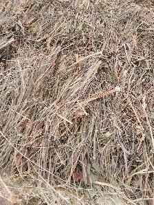 Small Square Grass/Hay bales - Photo 3
