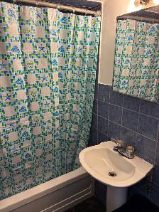 One Bedroom Basement Apartment for Rent - Photo 5