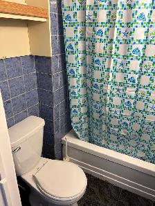 One Bedroom Basement Apartment for Rent - Photo 6