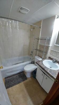 Spacious 3 Bedroom Available August 1st - Photo 15