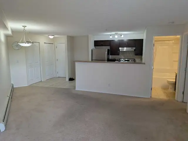 Spotless 1-Bed 1-Bath Condo Apartment in Evergreen