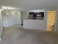 Spotless 1-Bed 1-Bath Condo Apartment in Evergreen