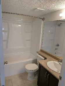 Spotless 1-Bed 1-Bath Condo Apartment in Evergreen - Photo 6