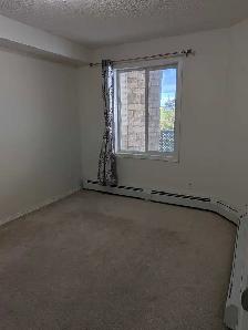 Spotless 1-Bed 1-Bath Condo Apartment in Evergreen - Photo 7