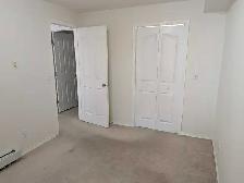 Spotless 1-Bed 1-Bath Condo Apartment in Evergreen - Photo 8