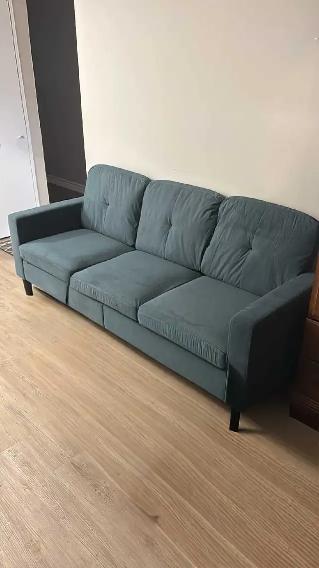 Sofa (Excellent Condition)