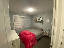 Room for Rent - Orleans (Female Only)