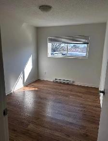 1 Bedroom 1 Bathroom Apartment