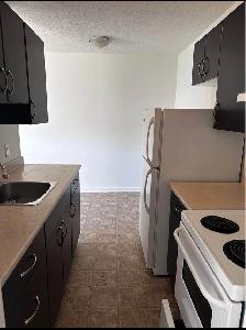 1 Bedroom 1 Bathroom Apartment - Photo 2