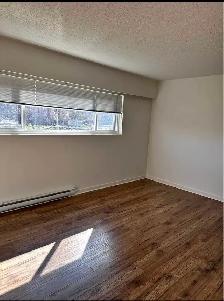 1 Bedroom 1 Bathroom Apartment - Photo 4