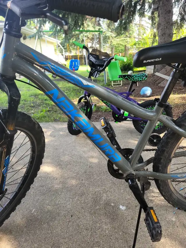 Nakamura Mountain Bike
