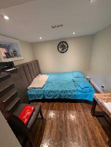 walkout basement for rent - Photo 3