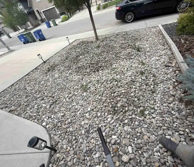 looking for landscaping help