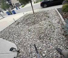 looking for landscaping help