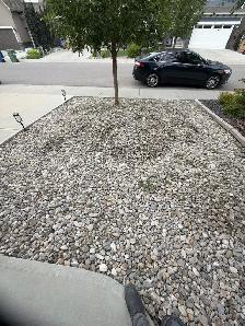 looking for landscaping help - Photo 2