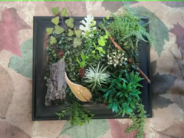 FAUX Plants & Succulents in Frames