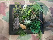 FAUX Plants & Succulents in Frames