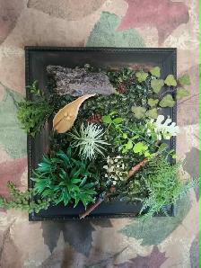 FAUX Plants & Succulents in Frames - Photo 2