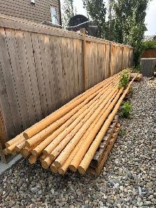 sand tipi pole set