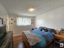 Drayton Valley 2 Bedroom Rental Apartment - Photo 2