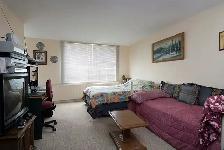 Affordable Bachelor Living with Free Parking!  Eglinton/Vaughan - Photo 4