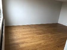 Affordable Bachelor Living with Free Parking!  Eglinton/Vaughan - Photo 5
