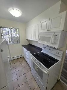 Marine View 1BR - 223 Windmill (Units 522/413) - Sept/Oct - Photo 13