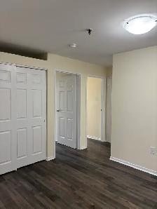 Renovated 1BR - 249 Windmill Unit 534 - Oct 1st - Heat/Water/PK - Photo 2