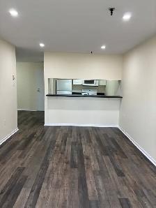Renovated 1BR - 249 Windmill Unit 534 - Oct 1st - Heat/Water/PK - Photo 7